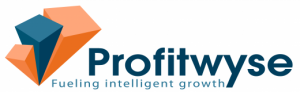 Profitwyse CFO Consulting Services Logo